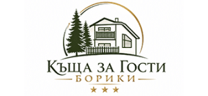 Борики