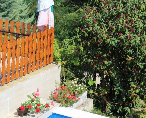 Къща за Гости - Къща Борики